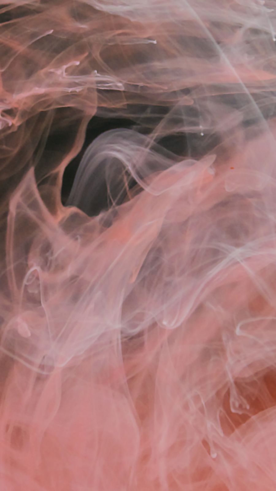 vape bundle