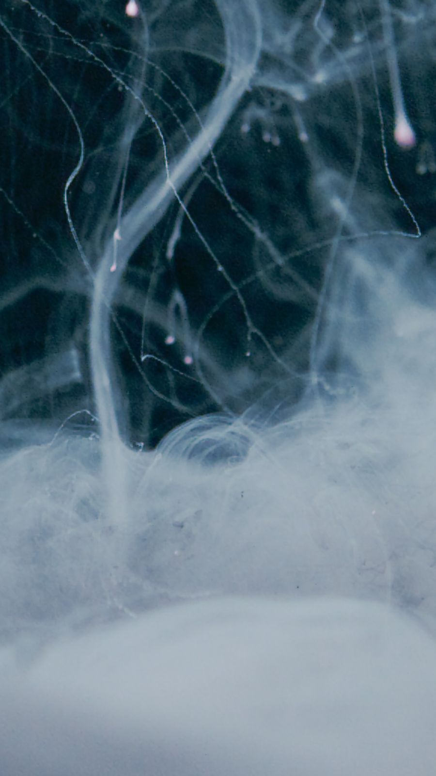 vape coil