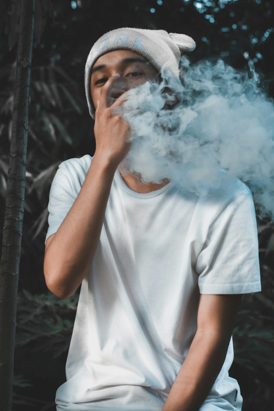 vape bundle