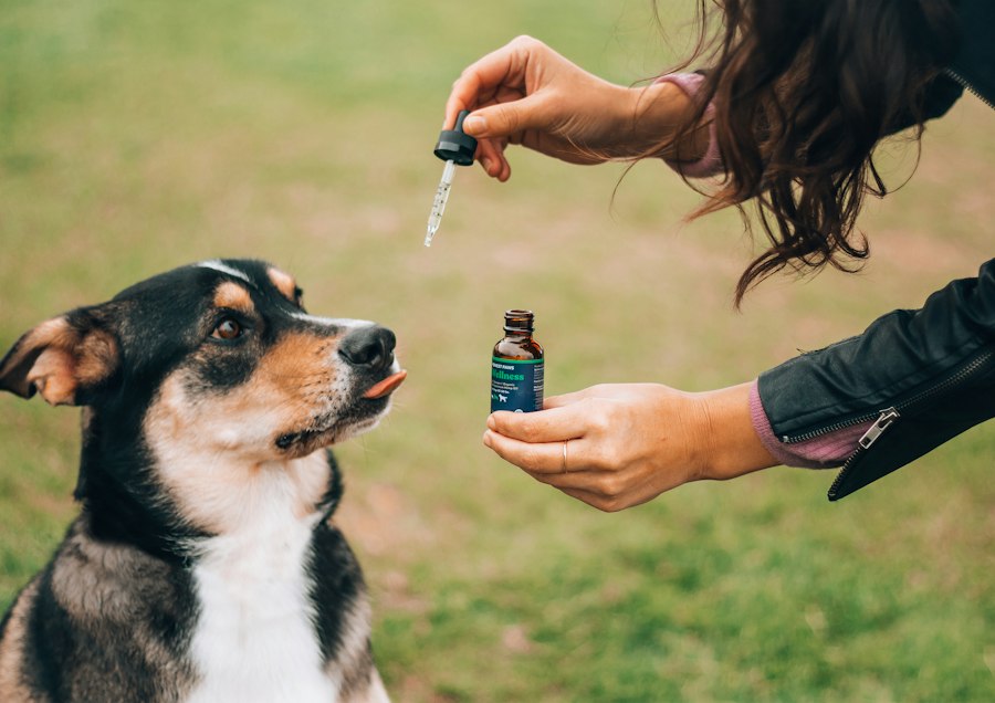 vape bundle